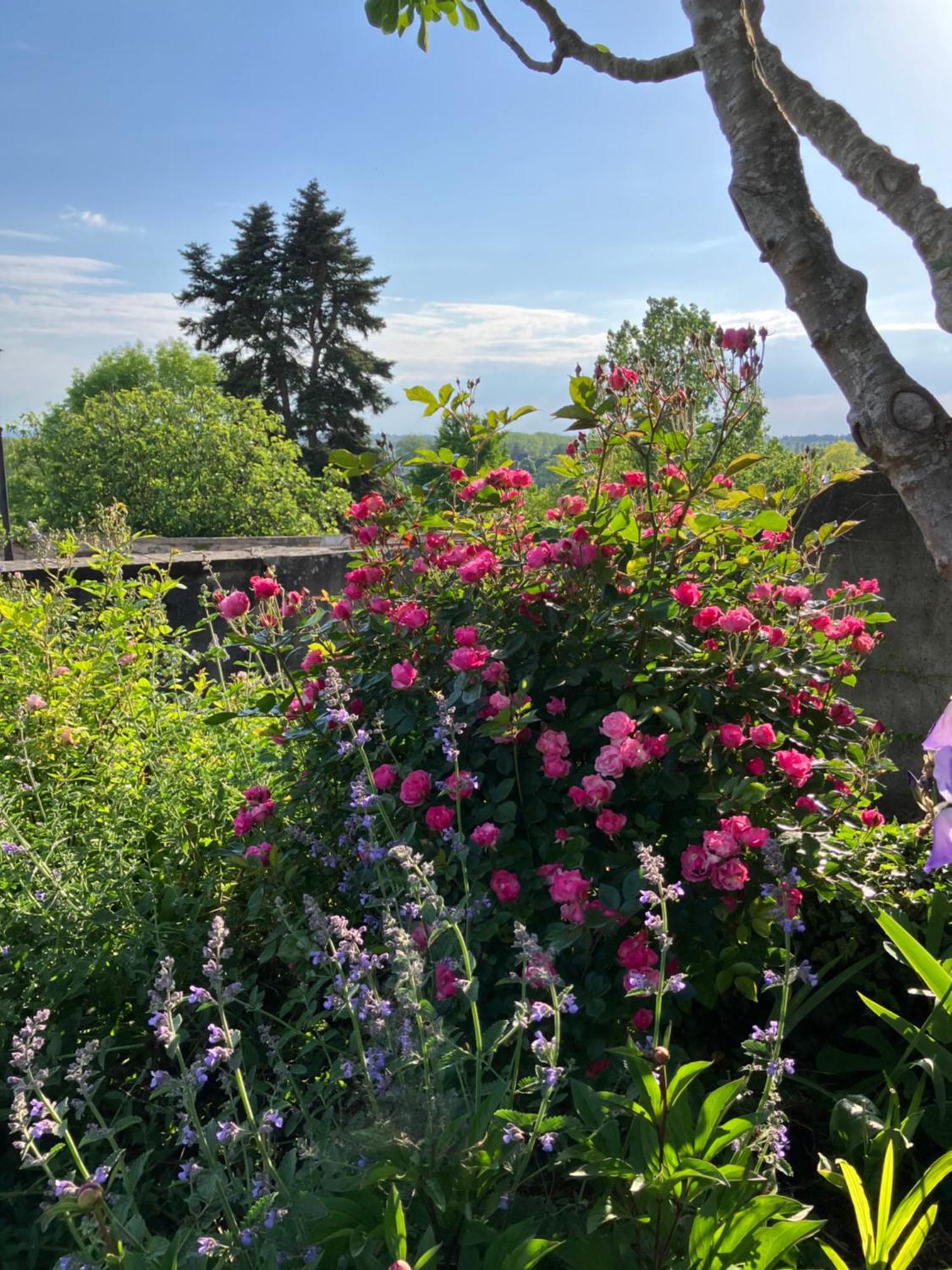 La Villa Lauvray Vétheuil Exteriör bild